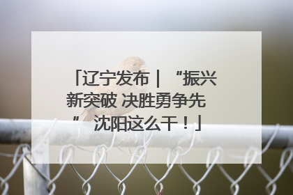 辽宁发布｜“振兴新突破 决胜勇争先” 沈阳这么干！
