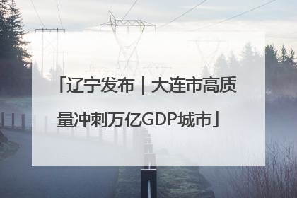 辽宁发布｜大连市高质量冲刺万亿GDP城市