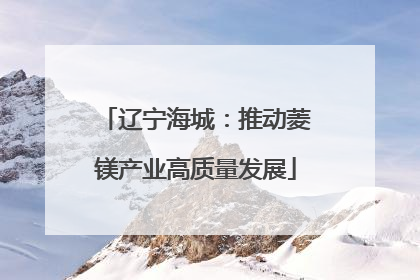 辽宁海城：推动菱镁产业高质量发展