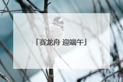 赛龙舟 迎端午