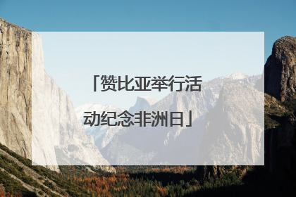 赞比亚举行活动纪念非洲日