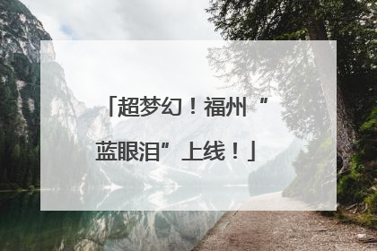 超梦幻！福州“蓝眼泪”上线！