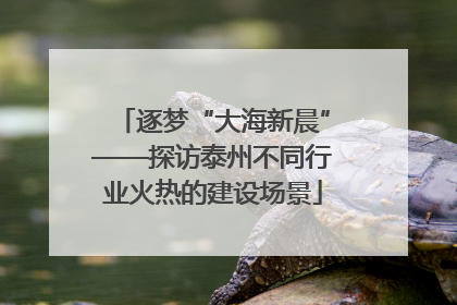 逐梦“大海新晨”——探访泰州不同行业火热的建设场景