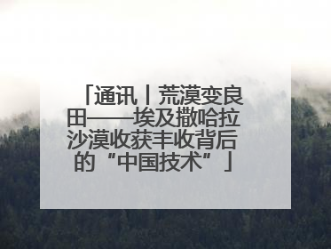 通讯丨荒漠变良田——埃及撒哈拉沙漠收获丰收背后的“中国技术”