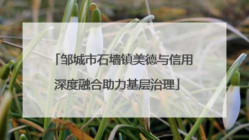 邹城市石墙镇美德与信用深度融合助力基层治理