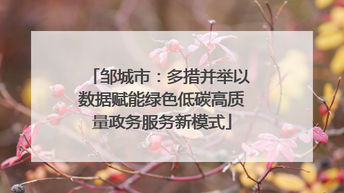 邹城市：多措并举以数据赋能绿色低碳高质量政务服务新模式