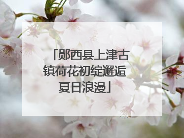 郧西县上津古镇荷花初绽邂逅夏日浪漫