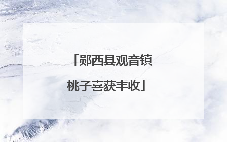 郧西县观音镇桃子喜获丰收