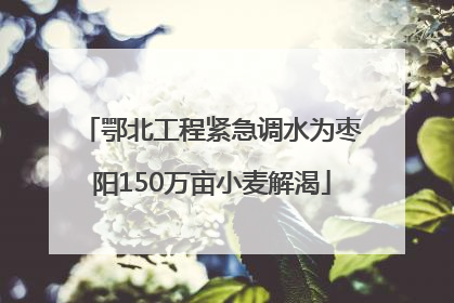 鄂北工程紧急调水为枣阳150万亩小麦解渴