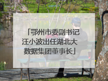 鄂州市委副书记汪小波出任湖北大数据集团董事长