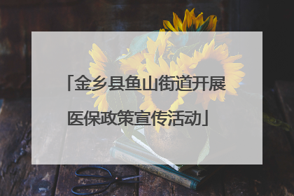 金乡县鱼山街道开展医保政策宣传活动