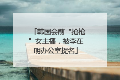 韩国会前“抢枪”女主播，被李在明办公室提名