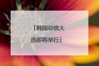 韩国总统大选即将举行