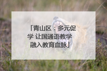 青山区：多元促学 让国通语教学融入教育血脉
