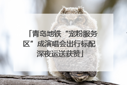 青岛地铁“宠粉服务区”成演唱会出行标配 深夜运送获赞