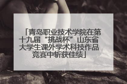 青岛职业技术学院在第十九届“挑战杯”山东省大学生课外学术科技作品竞赛中斩获佳绩