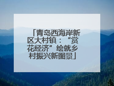 青岛西海岸新区大村镇：“赏花经济”绘就乡村振兴新图景