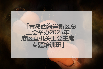 青岛西海岸新区总工会举办2025年度区直机关工会主席专题培训班