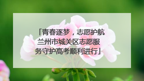 青春逐梦，志愿护航 兰州市城关区志愿服务守护高考顺利进行