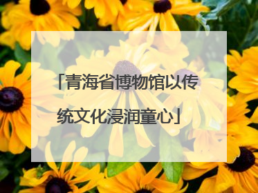 青海省博物馆以传统文化浸润童心
