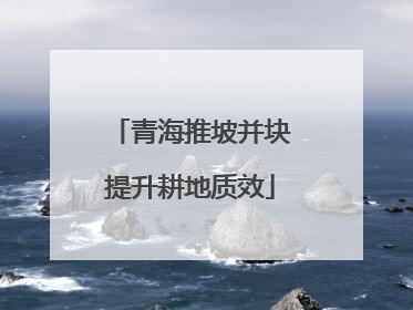 青海推坡并块提升耕地质效
