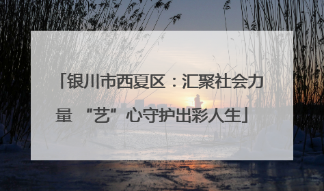 银川市西夏区：汇聚社会力量 “艺”心守护出彩人生