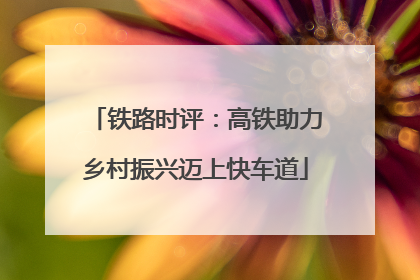 铁路时评：高铁助力乡村振兴迈上快车道