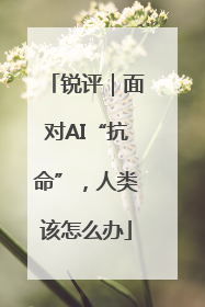 锐评｜面对AI“抗命”，人类该怎么办