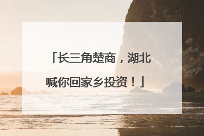 长三角楚商，湖北喊你回家乡投资！
