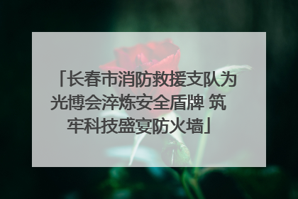 长春市消防救援支队为光博会淬炼安全盾牌 筑牢科技盛宴防火墙