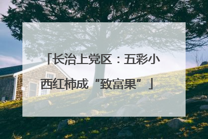 长治上党区：五彩小西红柿成“致富果”