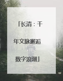 长清：千年文脉邂逅数字浪潮