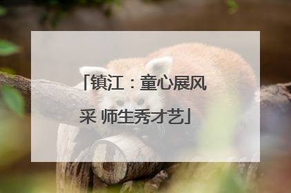 镇江：童心展风采 师生秀才艺