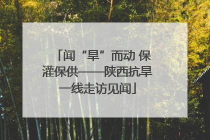 闻“旱”而动 保灌保供——陕西抗旱一线走访见闻