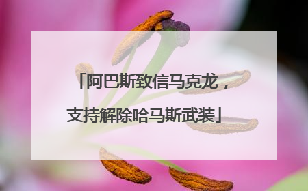 阿巴斯致信马克龙，支持解除哈马斯武装