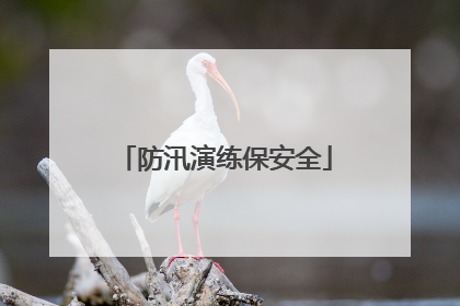防汛演练保安全