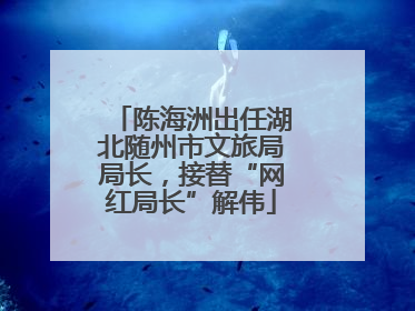 陈海洲出任湖北随州市文旅局局长，接替“网红局长”解伟