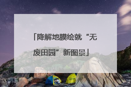 降解地膜绘就“无废田园”新图景