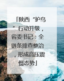 陕西“护鸟”行动升级，省委书记：全链条排查整治，形成高压震慑态势