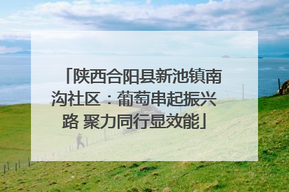陕西合阳县新池镇南沟社区：葡萄串起振兴路 聚力同行显效能