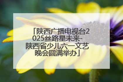 陕西广播电视台2025丝路星未来-陕西省少儿六一文艺晚会圆满举办