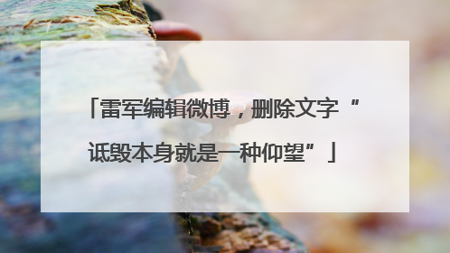 雷军编辑微博，删除文字“诋毁本身就是一种仰望”