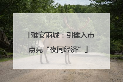 雅安雨城：引摊入市 点亮“夜间经济”
