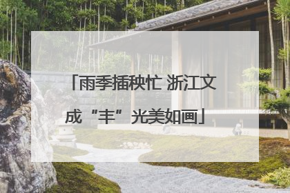 雨季插秧忙 浙江文成“丰”光美如画