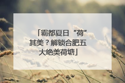 霸都夏日“荷”其美？解锁合肥五大绝美荷塘