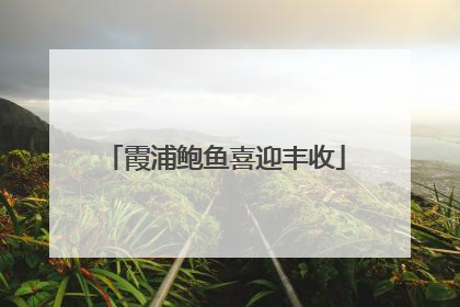 霞浦鲍鱼喜迎丰收