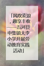 风吹麦浪，趣享丰收——五河县申集镇大李小学开展劳动教育实践活动