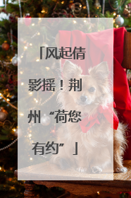 风起倩影摇！荆州“荷您有约”