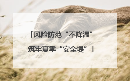 风险防范“不降温” 筑牢夏季“安全堤”