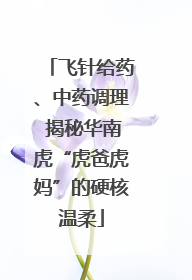 飞针给药、中药调理 揭秘华南虎“虎爸虎妈”的硬核温柔